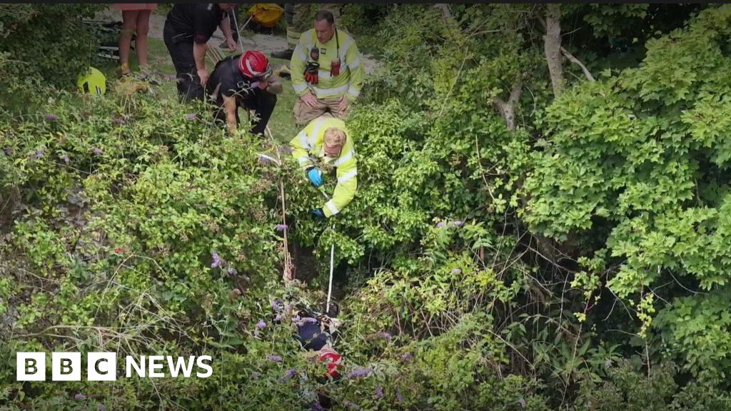 Boy rescued after falling down steep ledge in Steyning